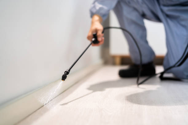 Licensed Termite Control service in Rockdale County County, GA - Nex Pest Control