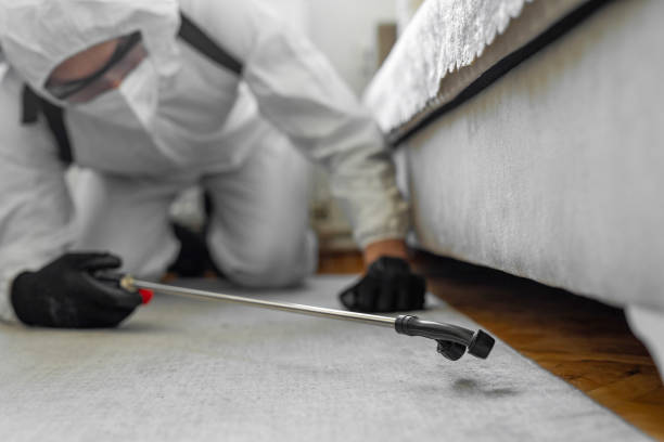 Professional Termite Control technician working in Rockdale County County, GA